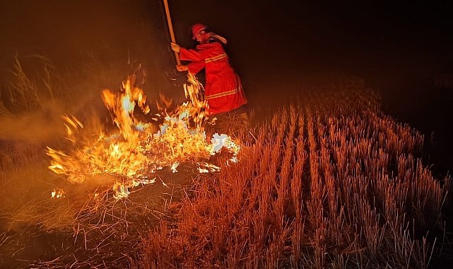 Iğdır'da çıkan anız yangını söndürüldü