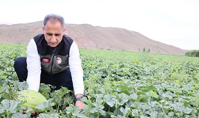 Kars'ın kavun ve karpuz ihtiyacı Digor'dan karşılanacak