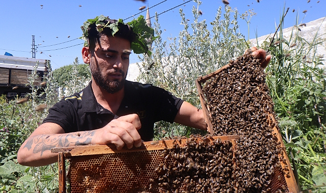 Kars'ta arıların oğul verme hareketliliği arttı