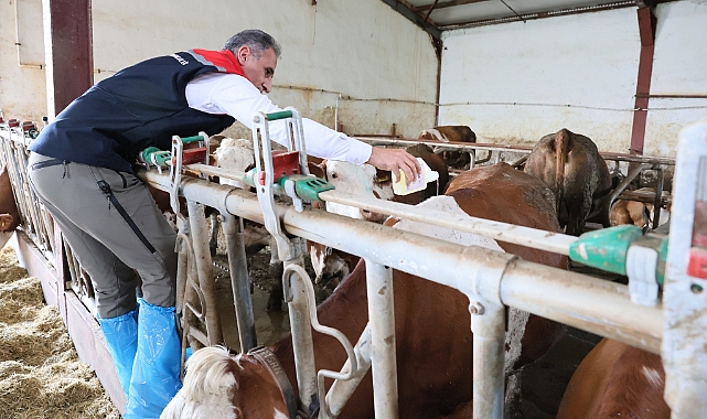 Kars’ta hayvanlara parazit ilacı uygulanıyor