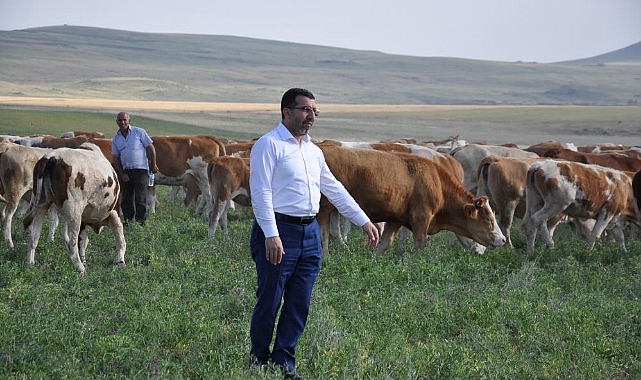 Kars'ta ıslah edilen meralar ekonomiye kazandırıldı
