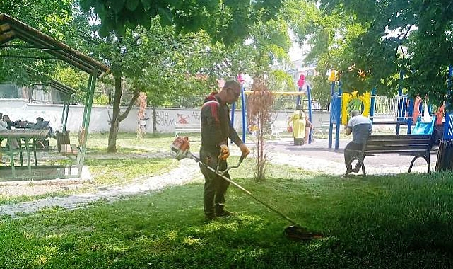 Kars'ta parklar yabani otlardan temizlendi