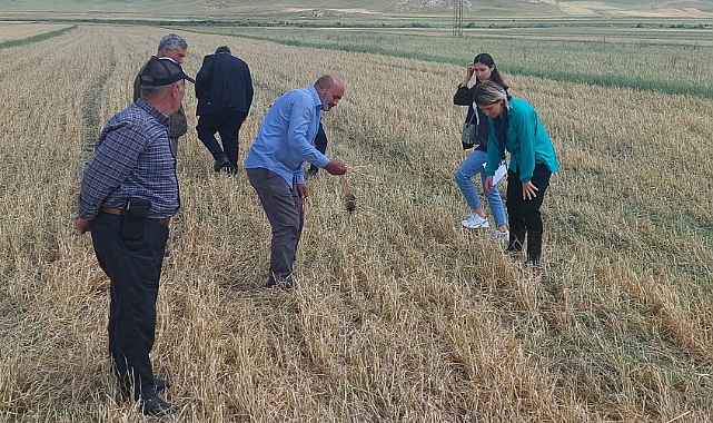 Kars'ta sel ve dolunun zararları tespit edildi