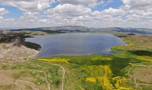 Keşiş Yaylası&#039;nda açan rengarenk çiçekleri görenler bölgeye hayran kalıyor