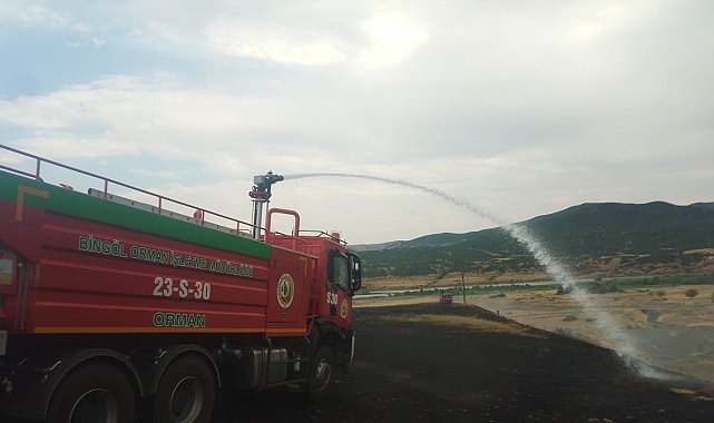 Kırsal alanda çıkan yangınlar ormana sıçramadan söndürüldü