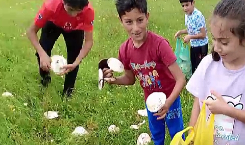 Köylerde mantar bereketi