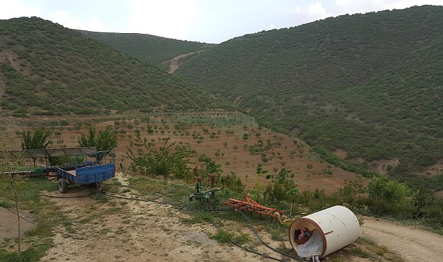 Kurtlar Vadisini ceviz fidanlarıyla yeşil vadiye dönüştürdü