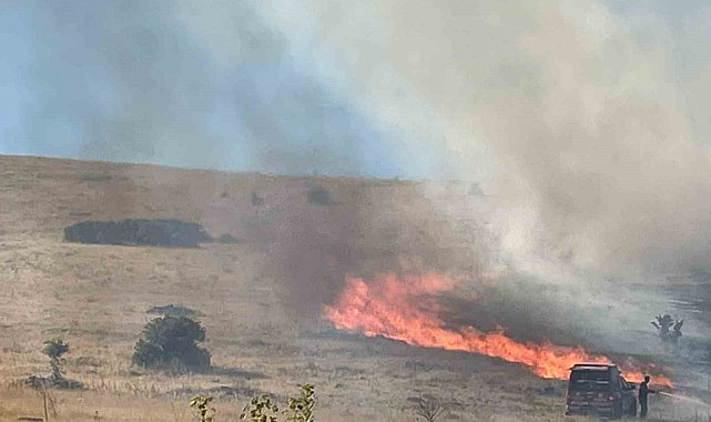 Malatya'da bir hektarlık alanda anız yangını
