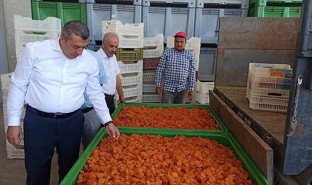 Malatya&#039;da lisanslı depolar 2 haftada yaklaşık bin 500 ton ürün alımı yaptı