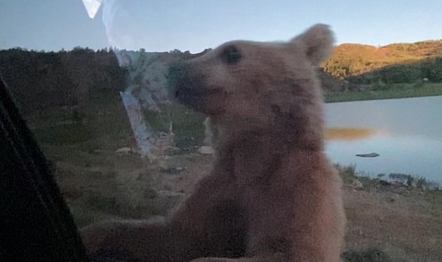 Nemrut'ta korku dolu anlar