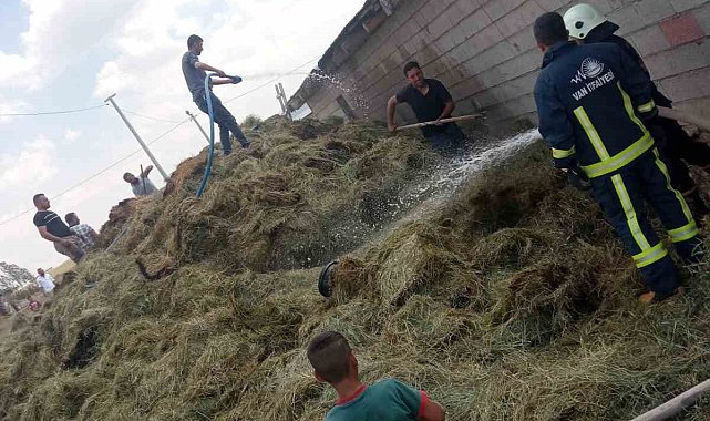 Özalp'te bin bağ ot yandı