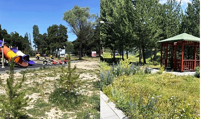 Sarıkamış Millet Bahçesi cıvıl cıvıl