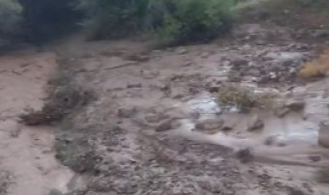 Sel ve fırtınada kaybolan inekler bulundu