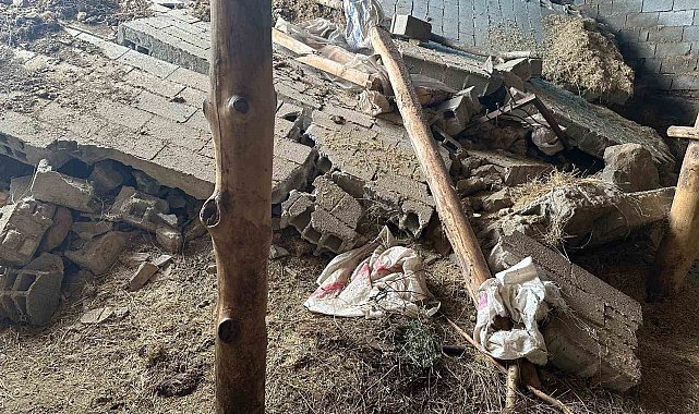 Tunceli'de dolu ve sağanak ekili alanlara zarar verdi