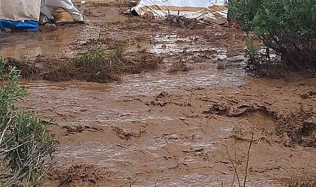 Tunceli'de sağanak nedeni ile yaylacıların çadırlarını su bastı