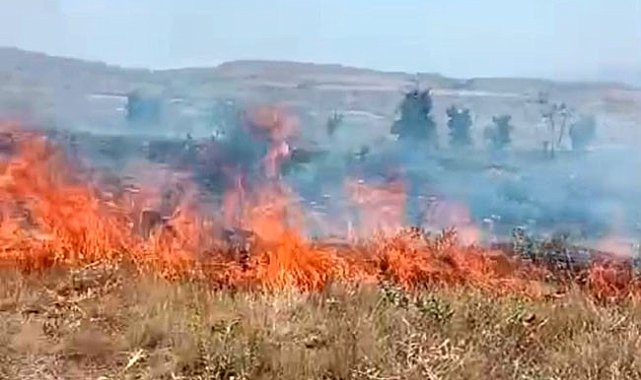 Tunceli'deki arazi yangını söndürüldü