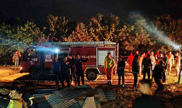 Tunceli&#039;deki yangında 26 büyükbaş hayvan telef oldu