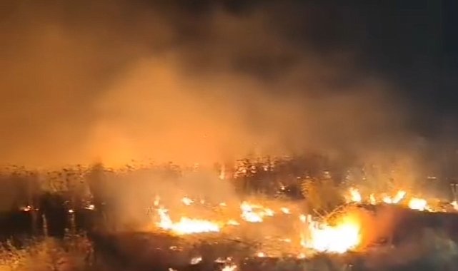 Van'da 4 ayrı noktada yangın