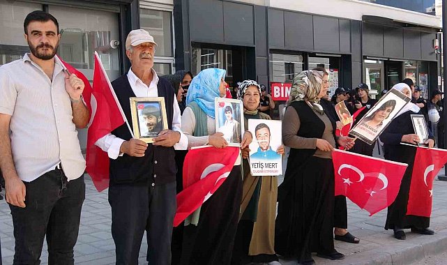 Vanlı annelerin evlat nöbeti 84'üncü haftasında