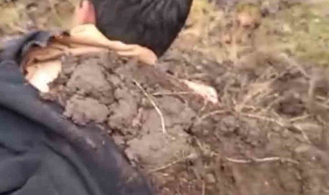 Yıldırımın çarpan çocuklarını toprağa gömerek kurtardılar