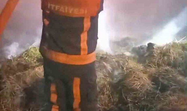 Yüksekova'da 30 bağ ot yandı