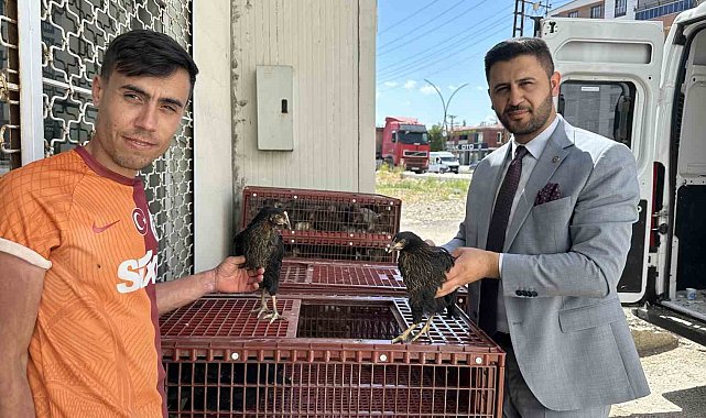 Yüksekova&#039;da 5 bin kanatlı hayvan dağıtıldı