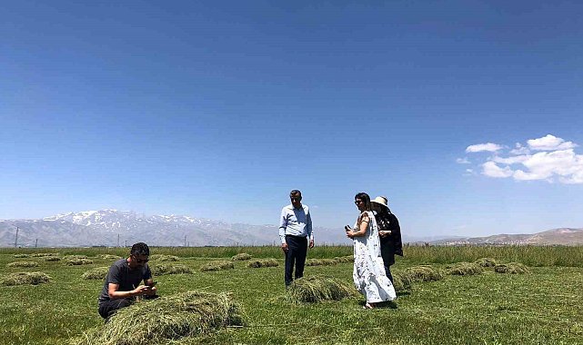 Yüksekova'da yağışlar çiftçilerin yüzünü güldürdü