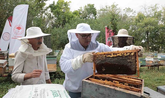 Ağrı'nın tescilli Geven Balından 400 ton verim hedefleniyor
