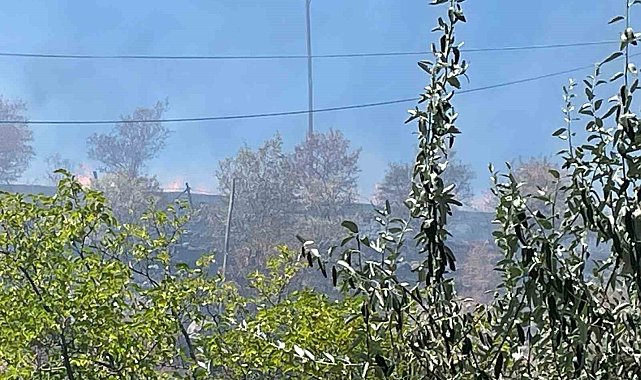Arguvan'da çıkan yangın meyve ağaçlarına zarar verdi