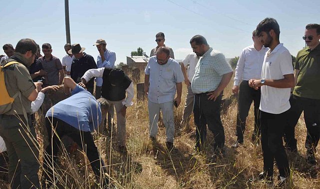 Arkeologlar Mollakent'teki tarihi yerleri gezdi