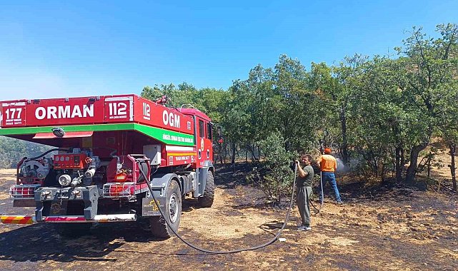 Bingöl'de 6 bölgede çıkan yangınlar söndürüldü