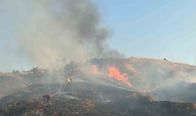 Bingöl'de iki bölgede çıkan orman yangını söndürüldü