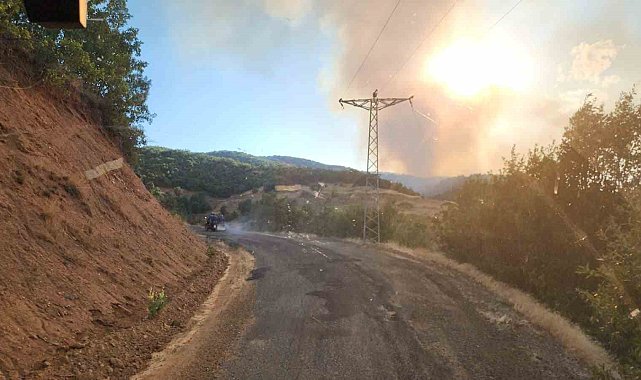 Bingöl'deki orman yangınına müdahale devam ediyor