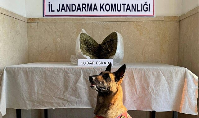 Elazığ'da 7 kilo esrar ele geçirildi: 1 gözaltı