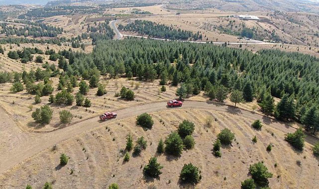 Elazığ'da orman ekipleri, havadan ve karadan denetimlerini sürdürüyor