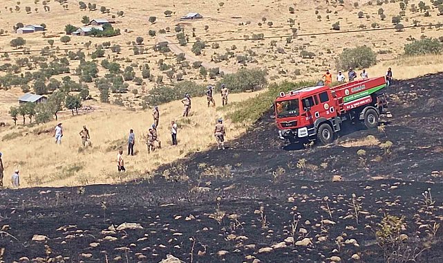 Elazığ'da otluk alanda çıkan yangın kontrol altına alındı