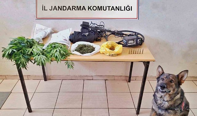 Erzincan'da jandarma mıntıkasında Temmuz ayında meydana gelen olayların yüzde 98'i aydınlatıldı