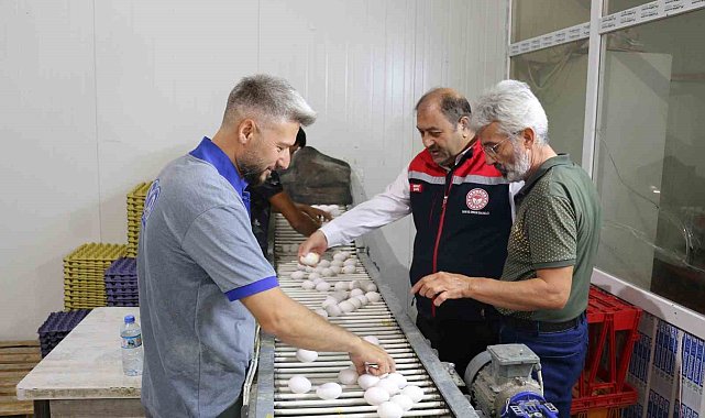 Erzincan'da tam otomatik tesislerde üretilen yumurtalar tarıma değer katıyor