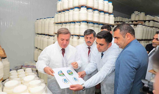 Erzincan'da tescilli tulum peyniri satışı artacak
