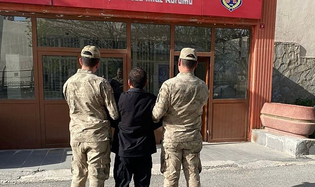Hakkari'de 39 kişi tutuklandı