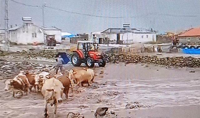 Harmanlı köyünü sel ve dolu vurdu