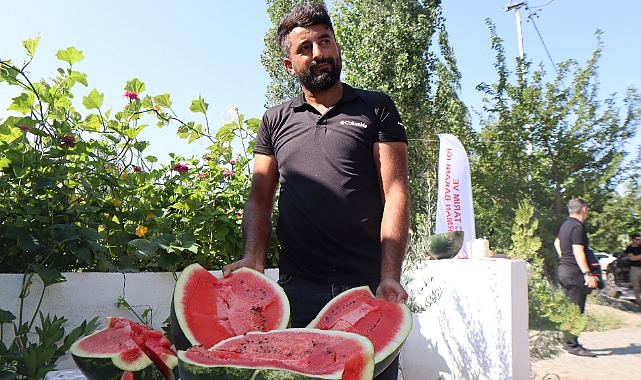 Iğdır'da üretilen karpuzun dördüncü hasadı başladı