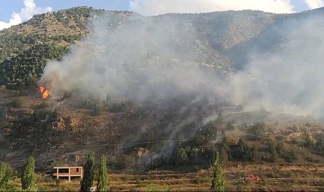 İspir'de orman yangını