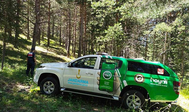 Erzincan'da Jandarma ormanları koruyor
