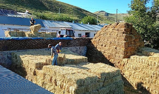 Kars’ta balyalar kışa hazırlanıyor