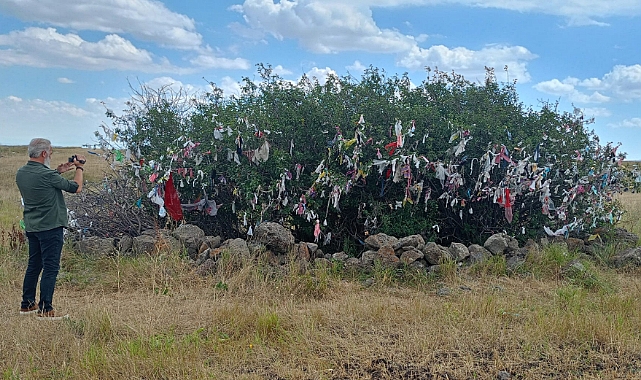 Kars'ta bu ağaçlar yıllardır umut dağıtıyor