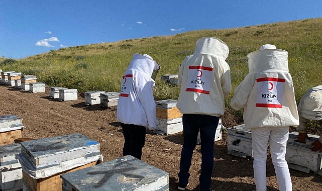 Kızılay'ın arıları ihtiyaç sahiplerine "şifa ve iyilik" getiriyor