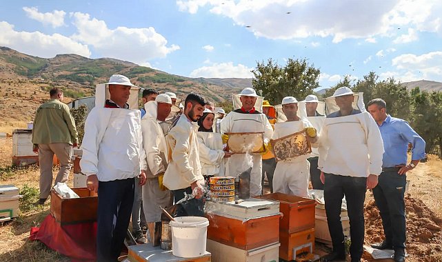 Muş'ta 600 ton bal hasadı bekleniyor