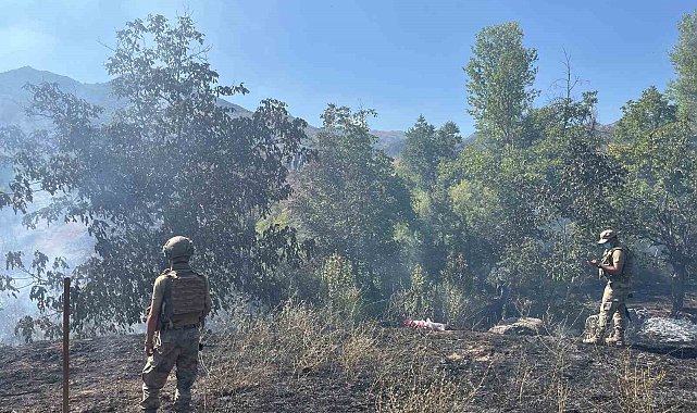 Tunceli'de çıkan örtü yangın söndürüldü
