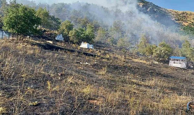 Tunceli'de mezarlıkta başlayan yangın ormana sıçradı